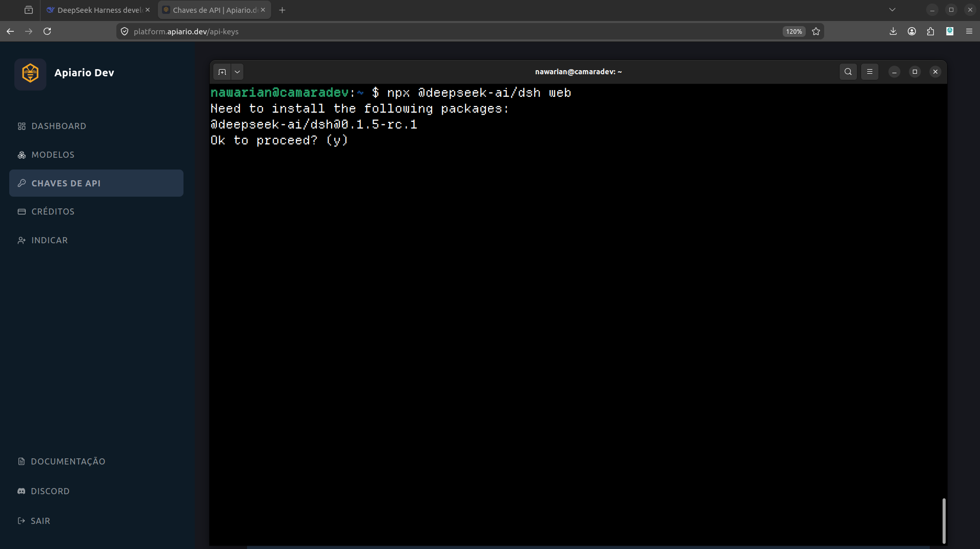 Terminal mostrando o comando npx @deepseek-ai/dsh web e a confirmação de instalação do pacote